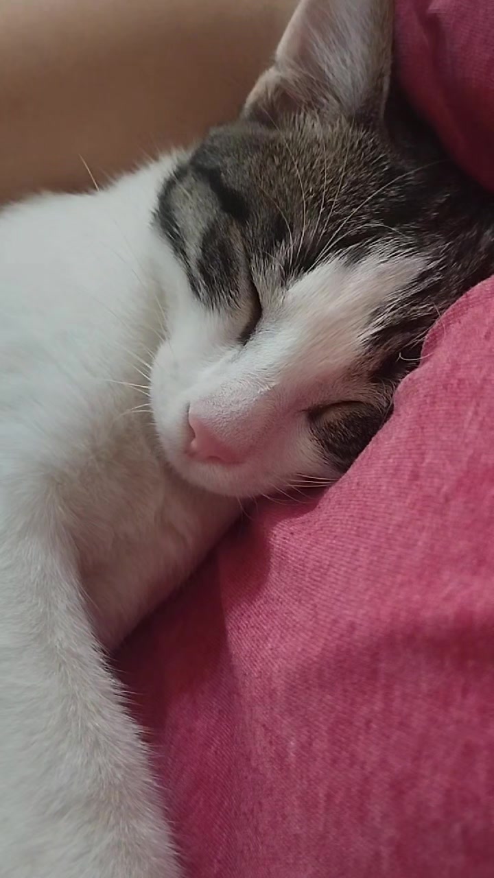 @miniş