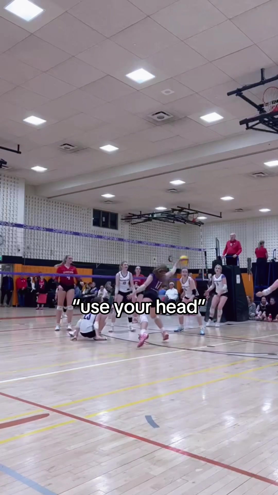 @lauren
