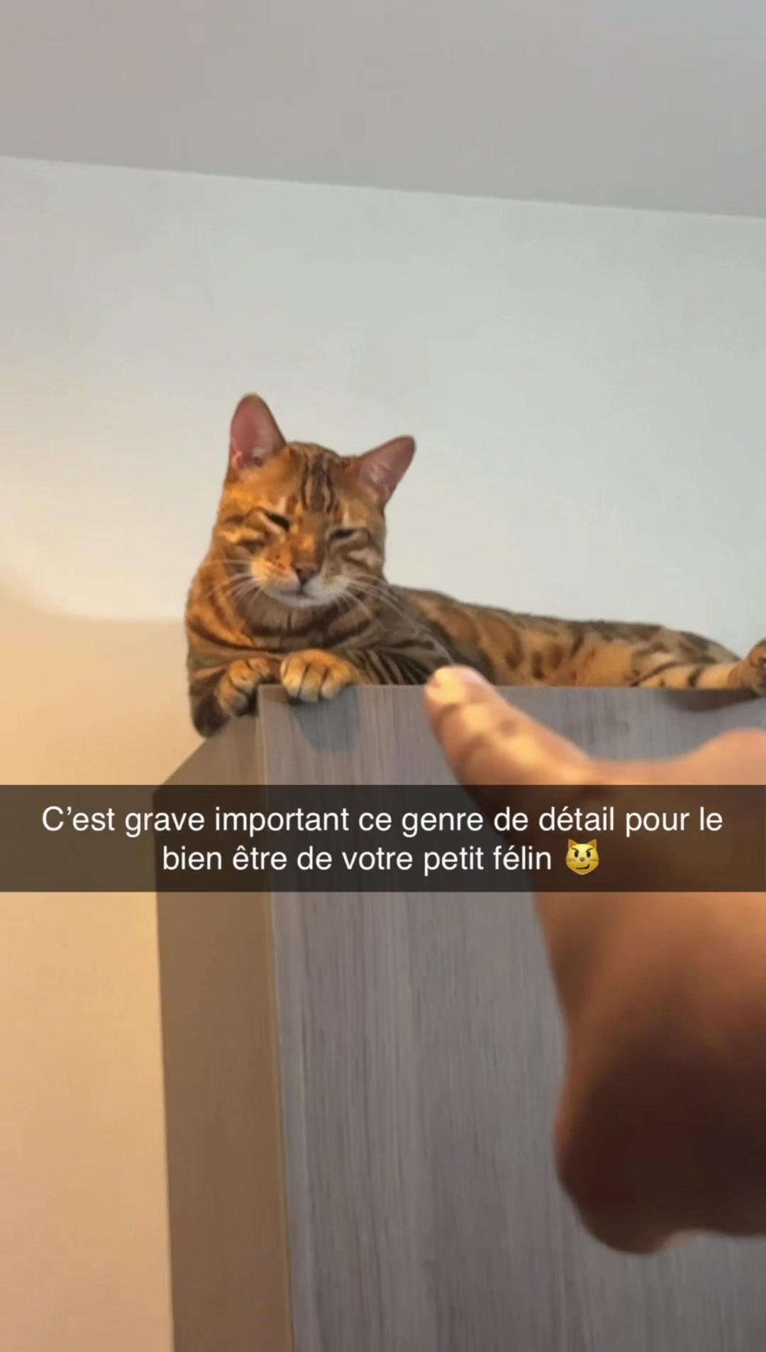 @voltaireleroi