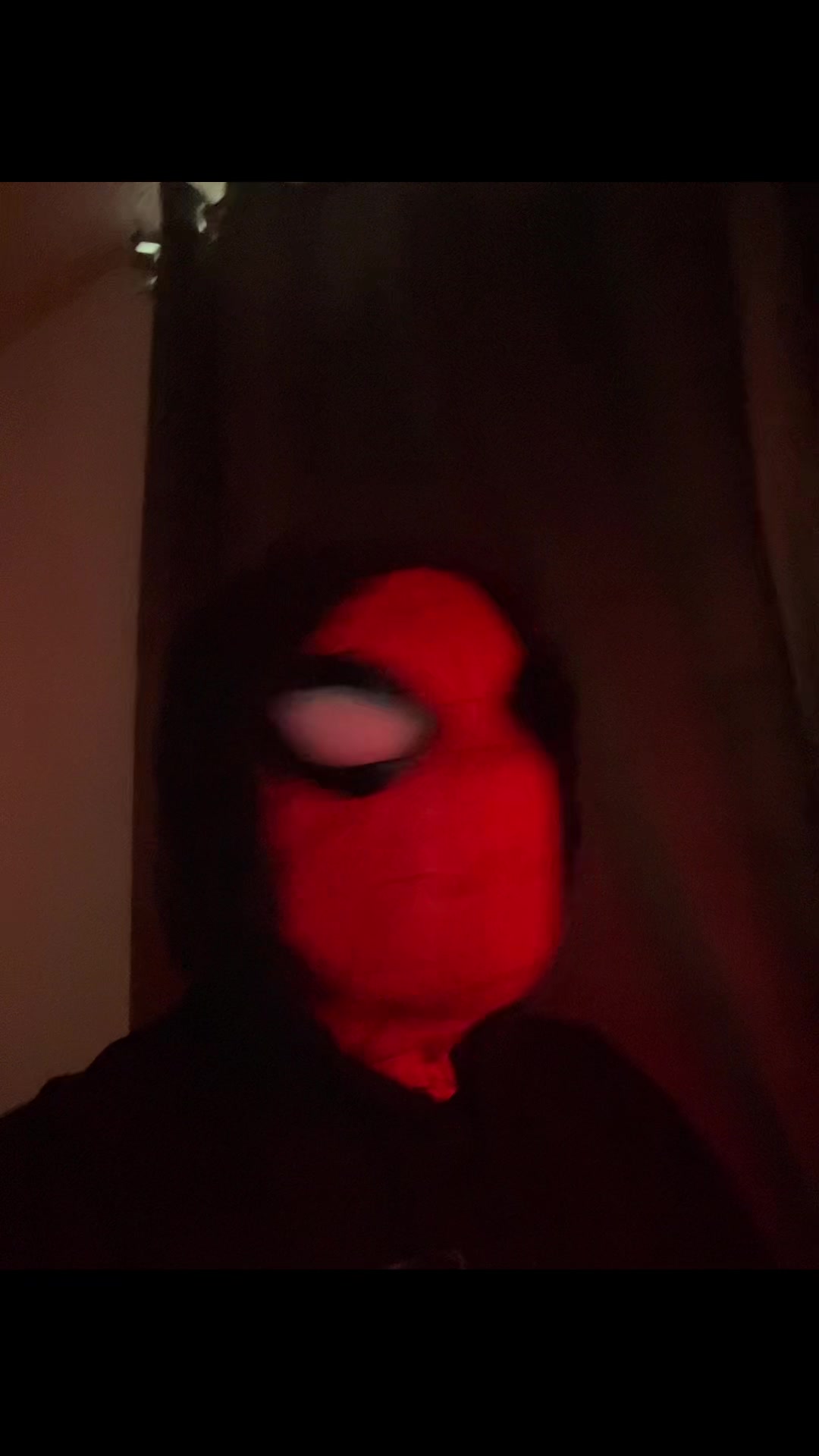 @Spider_belico