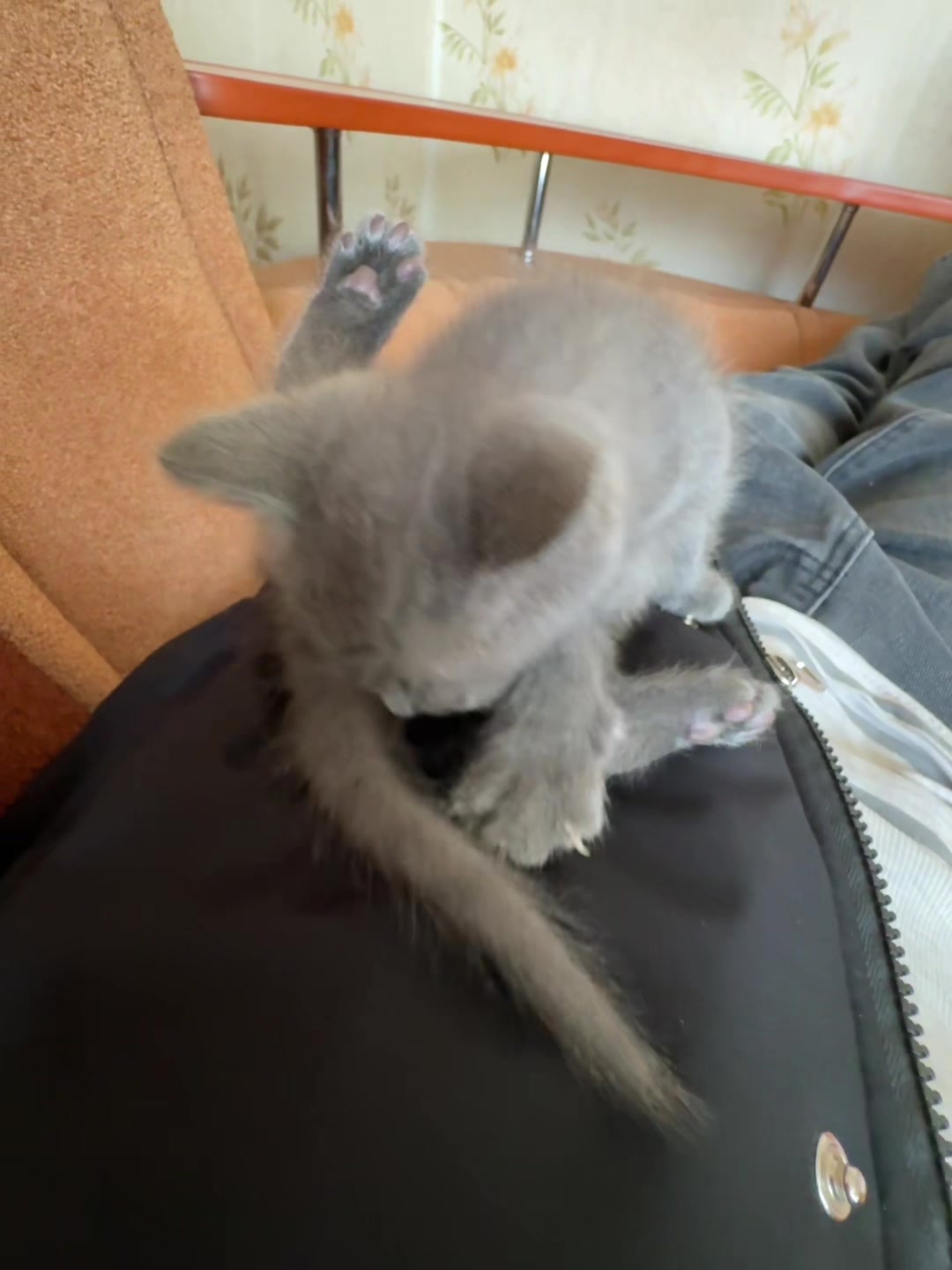 @софка