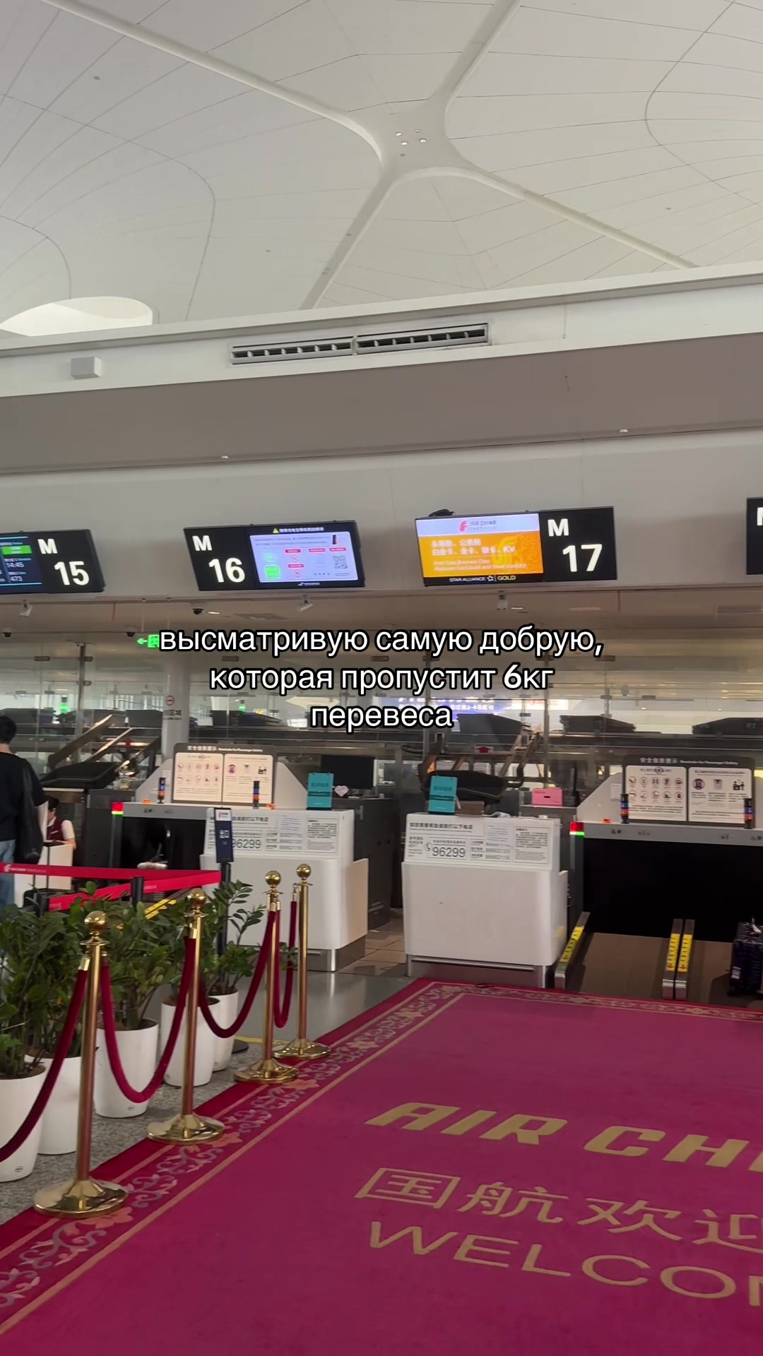 @тгк: albina in china🇨🇳