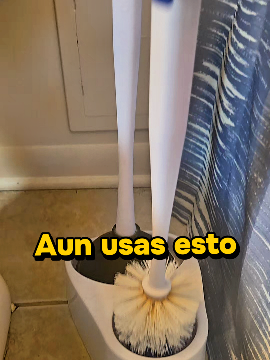@carolina