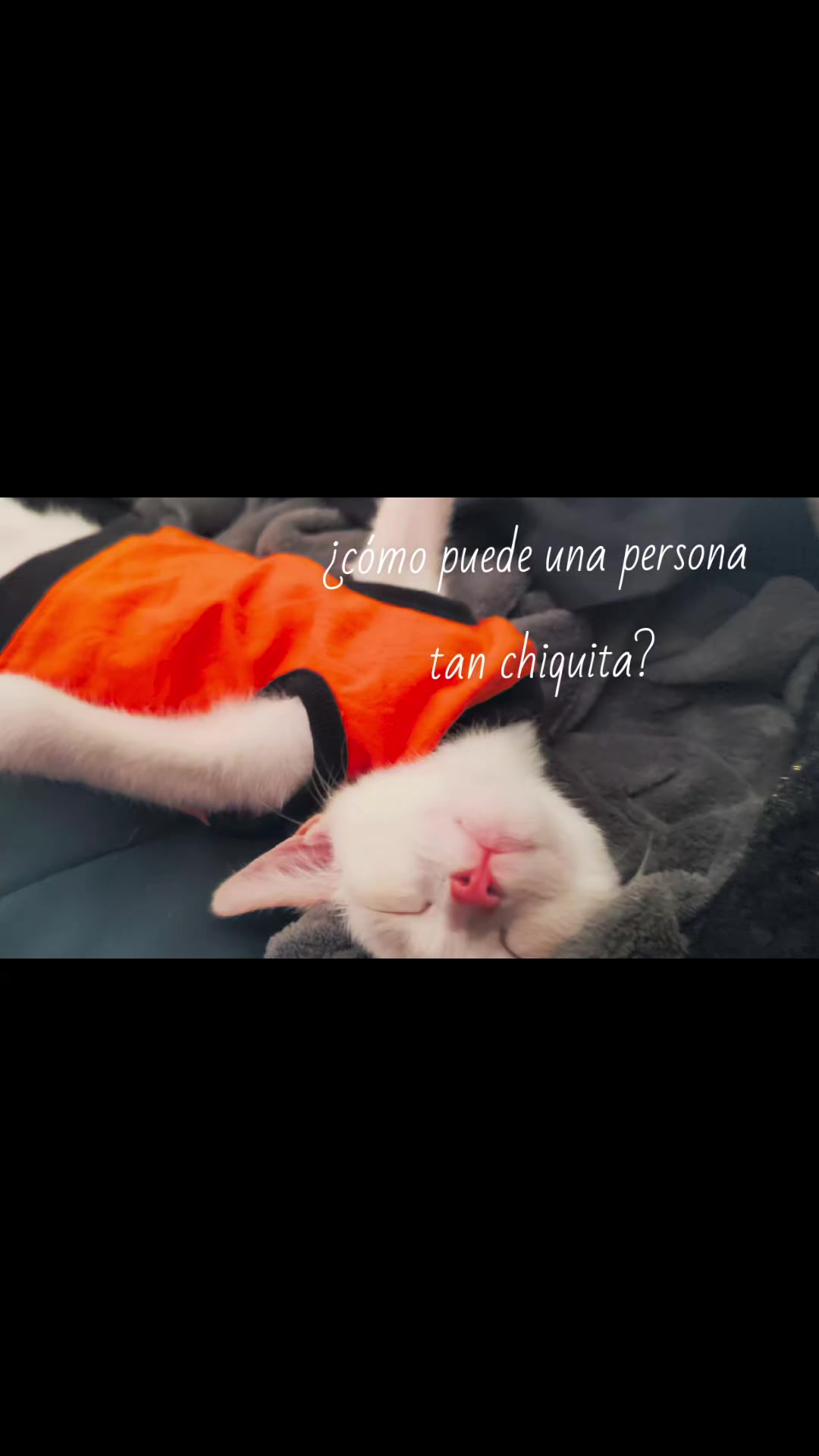 @๐ ฬ โณina ๐