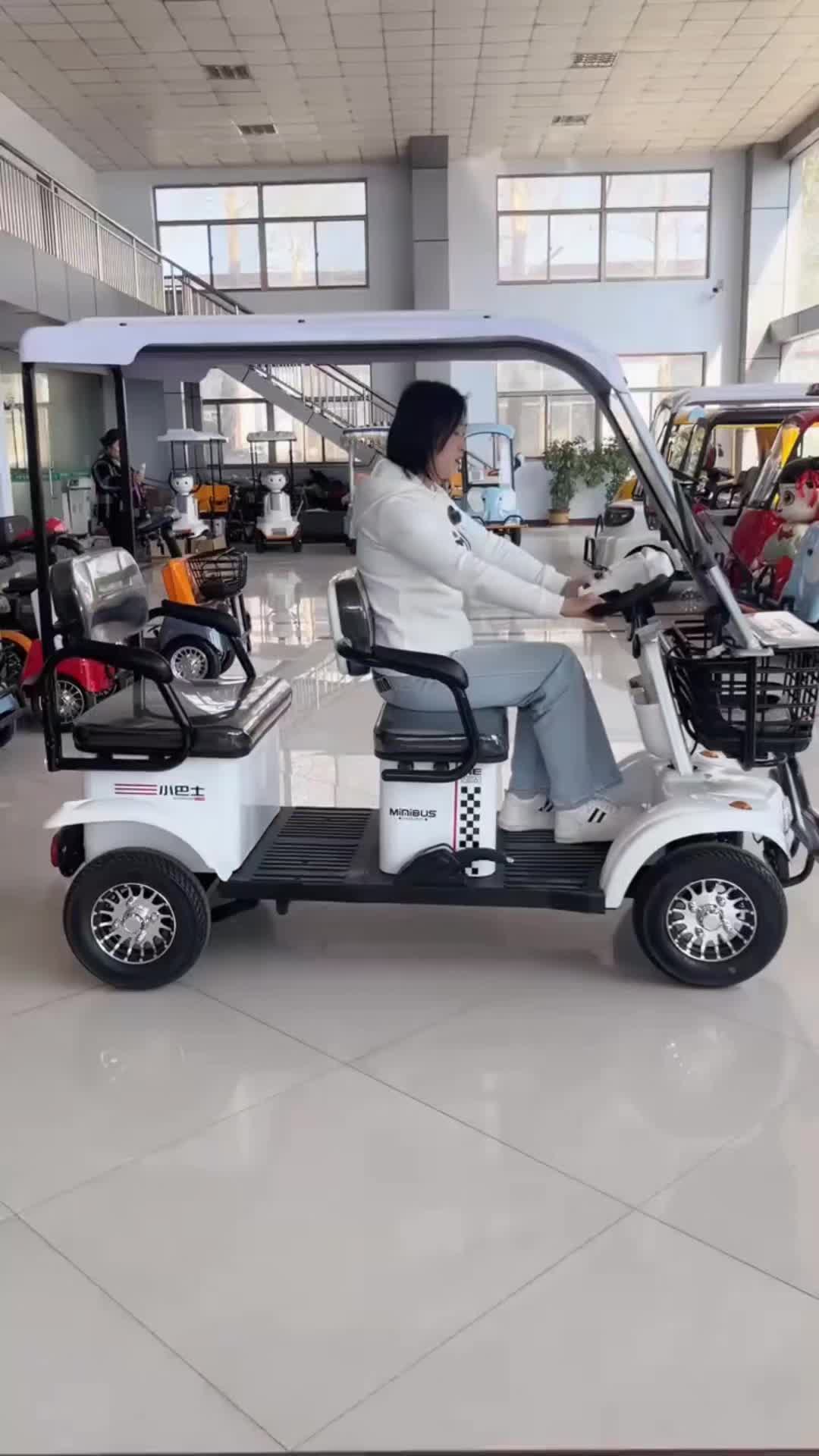 @mini bus_ev