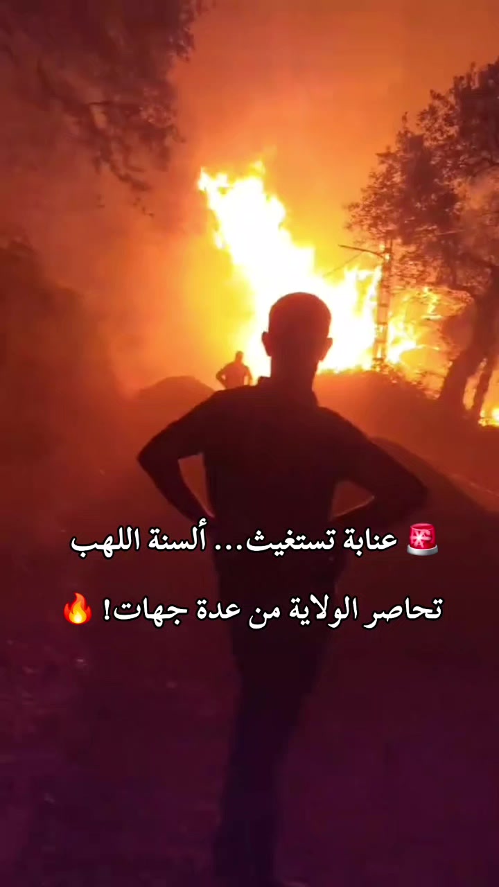 @Walid Seghier