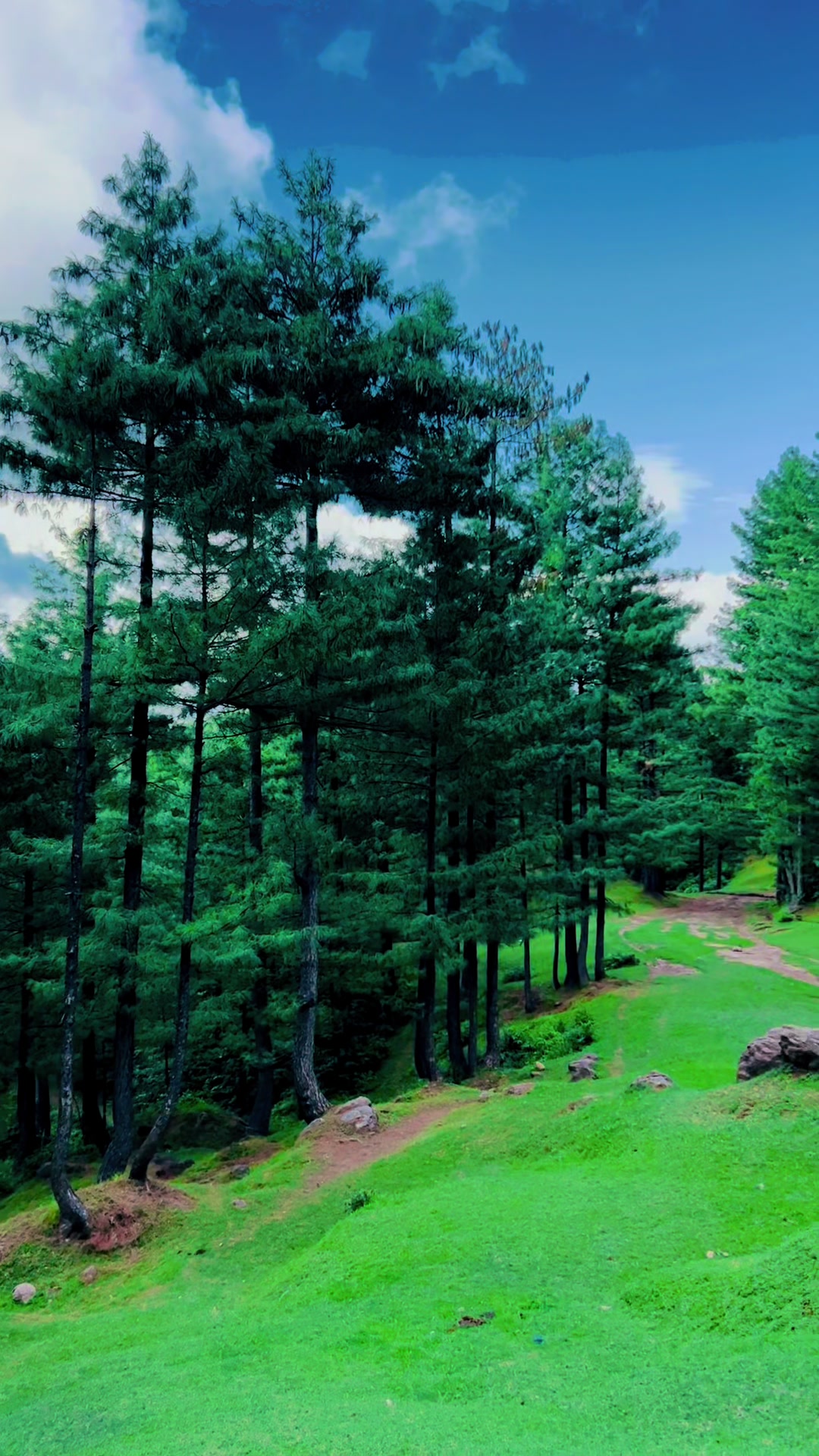 @WaQas Kayani