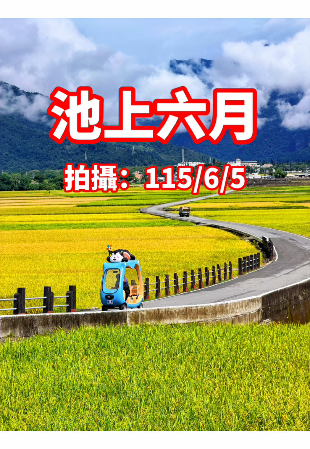 @美娴(華鼎自行車出租店)