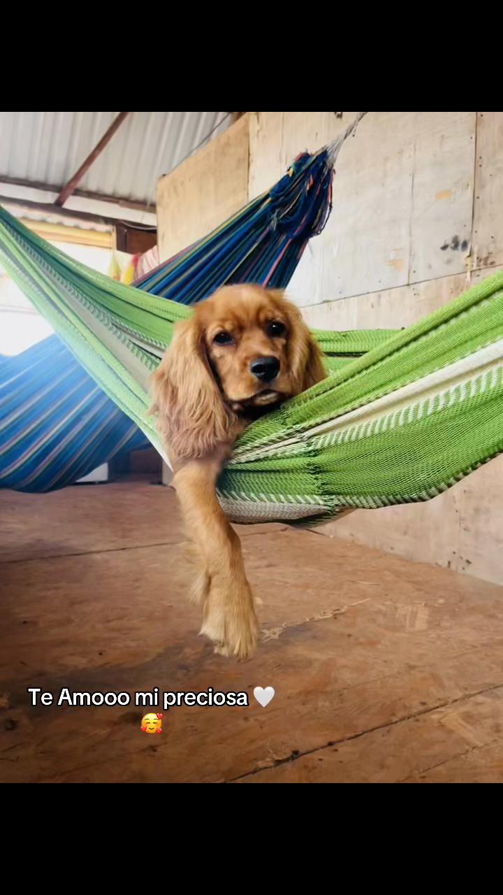 @Angie Naranjo