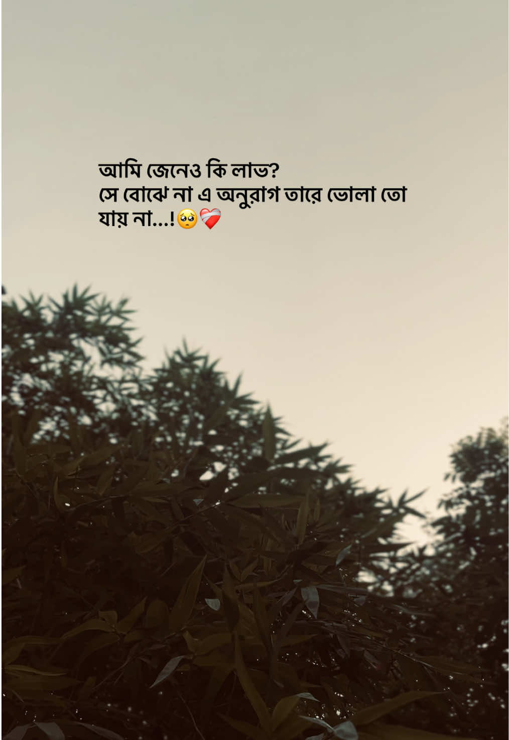 @ᴢꫝʜɪᴅ ••••••