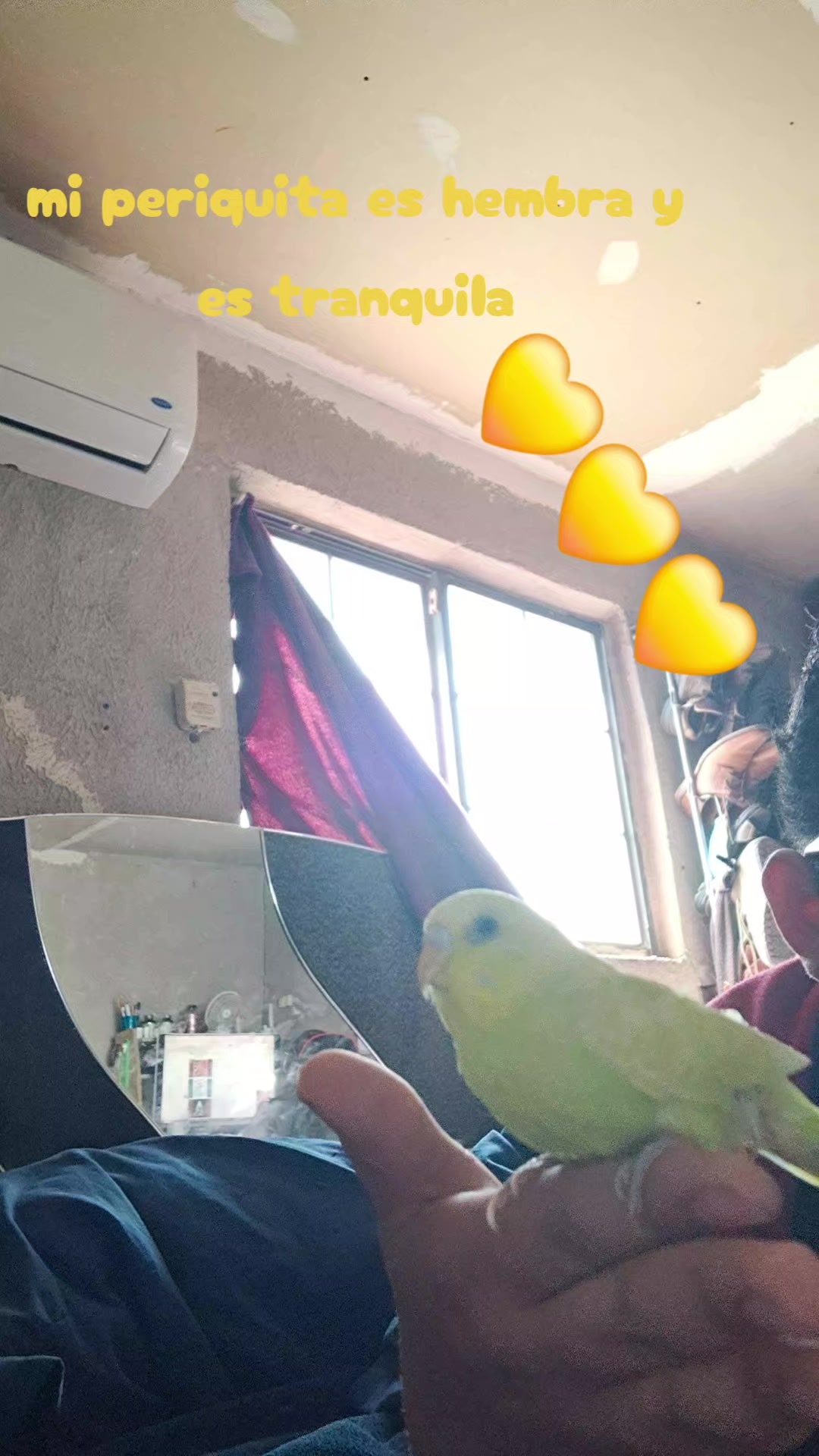 @iceloving