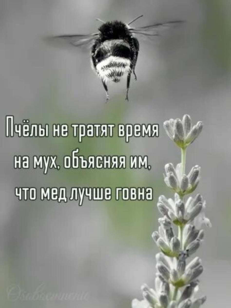 @Андрей Григорьев