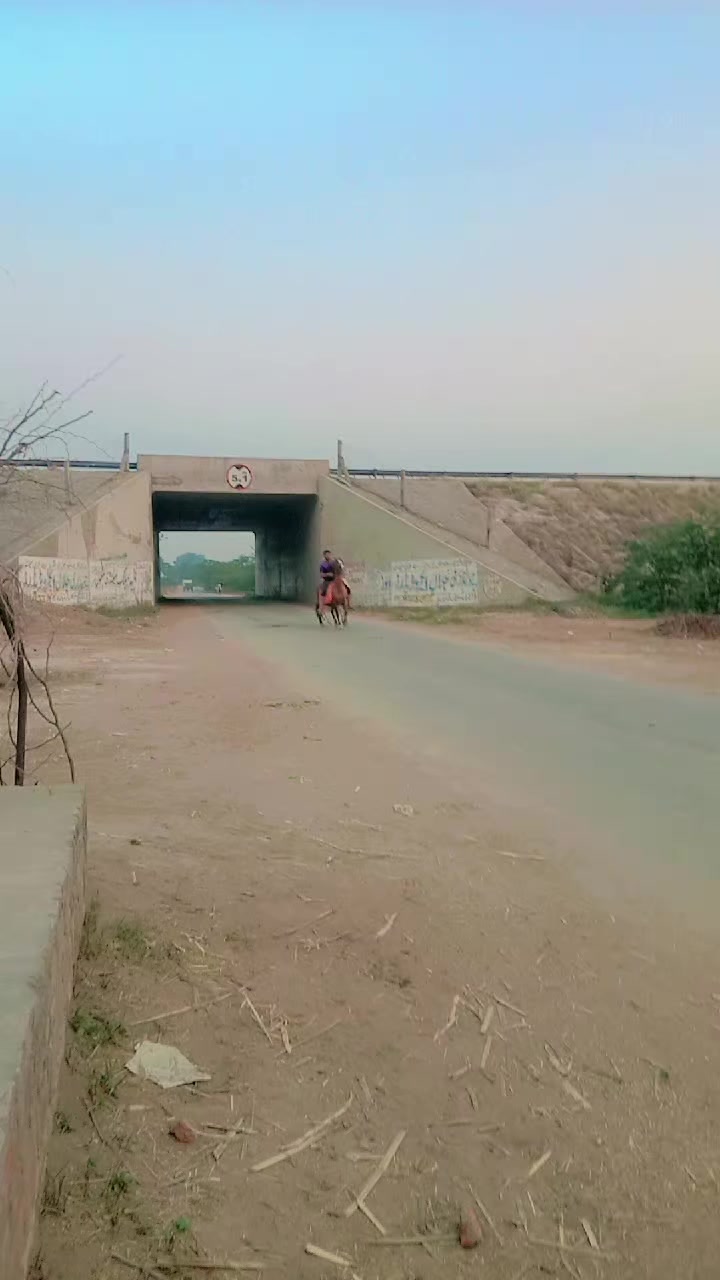 @S&Acirc;QL&Agrave;IN G&Ucirc;JJ&Aacute;R