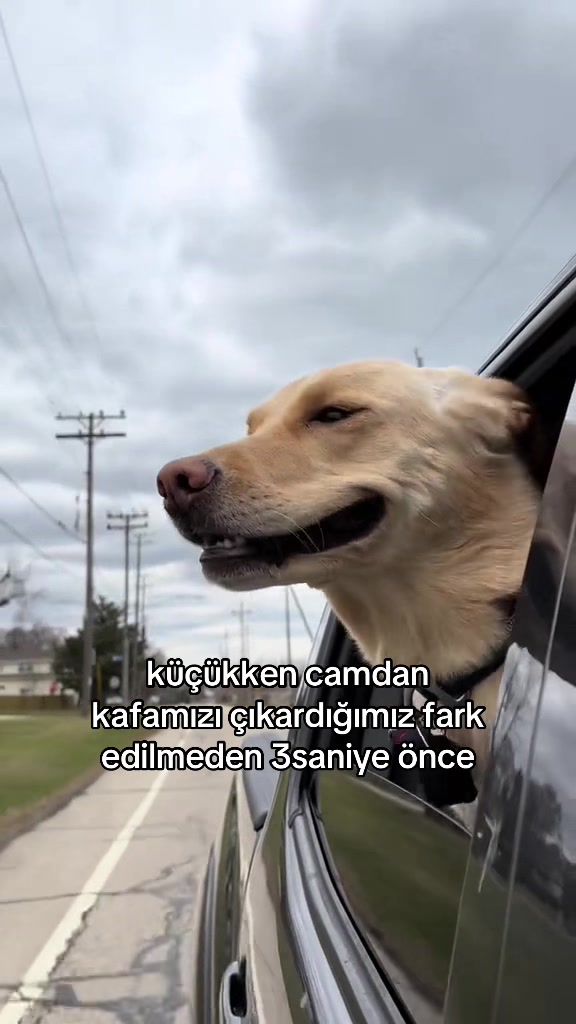 @ceroiiy