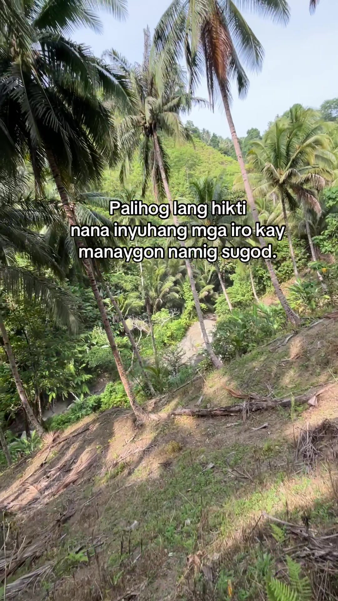 @Jibbydigan