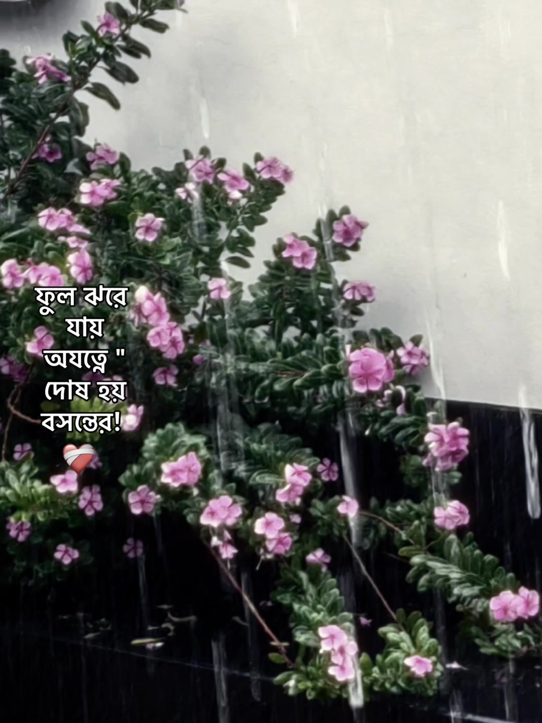 @Juieee...♡🫧