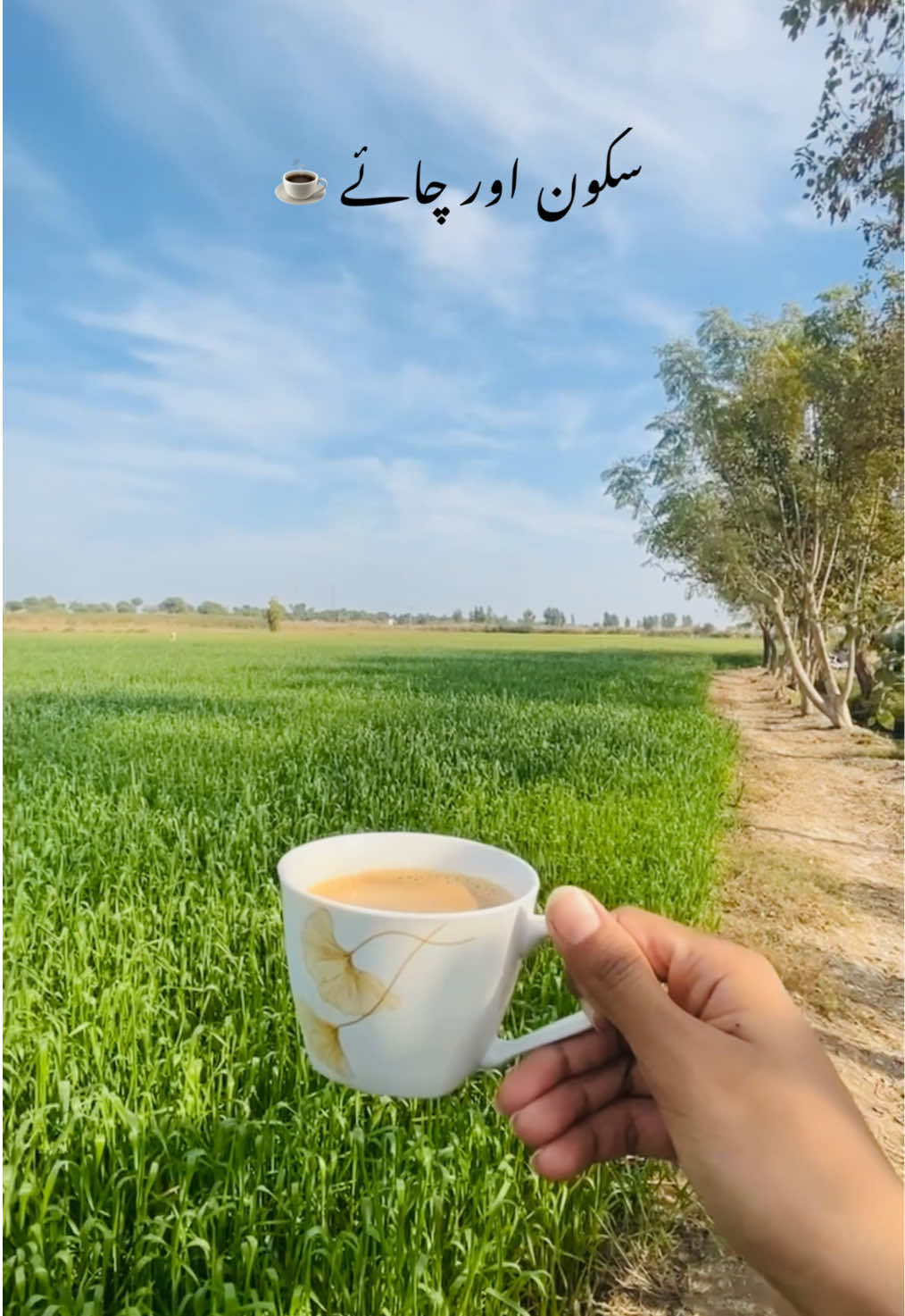 @Dr.Areeba