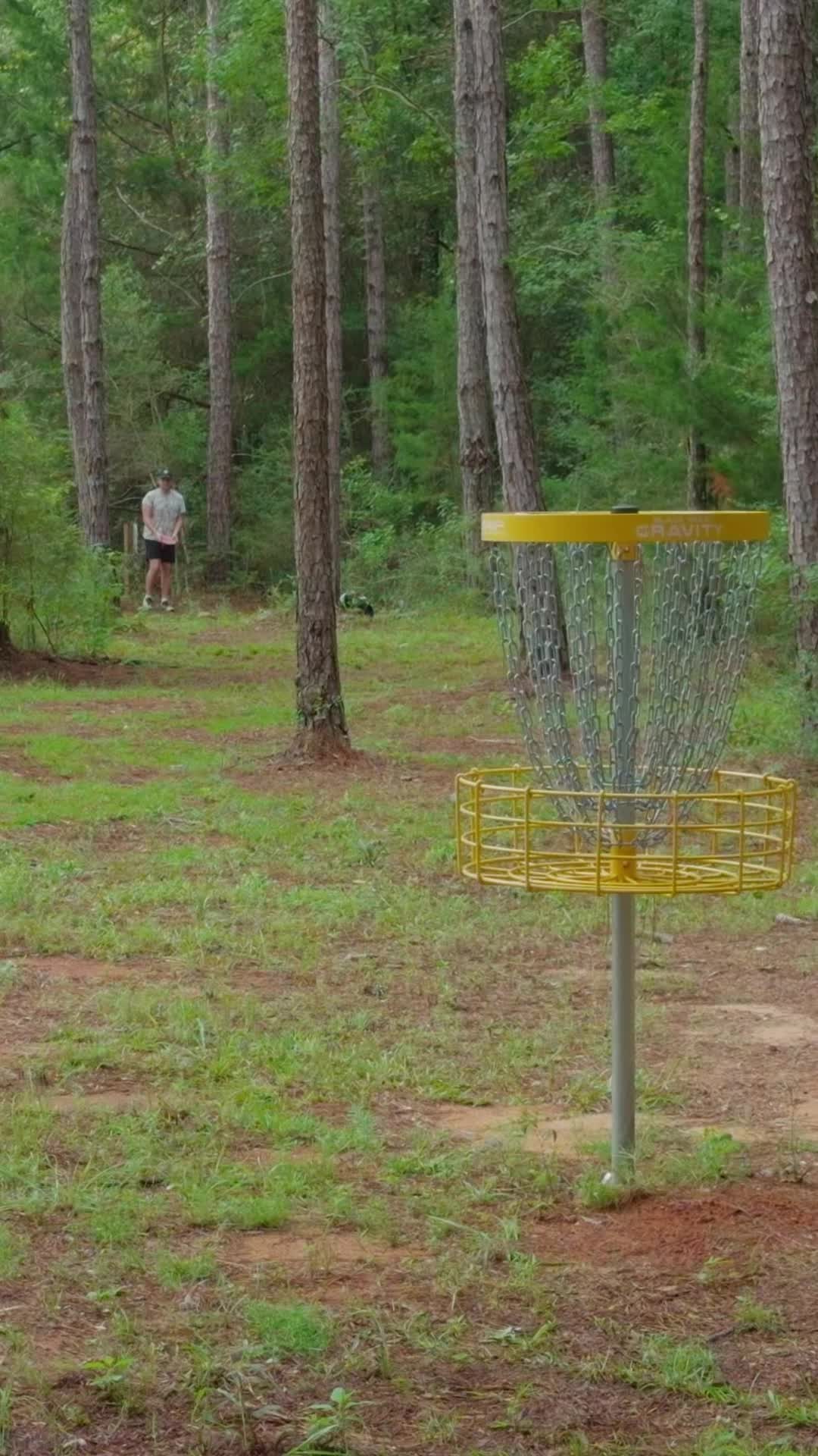 @ursa disc golf