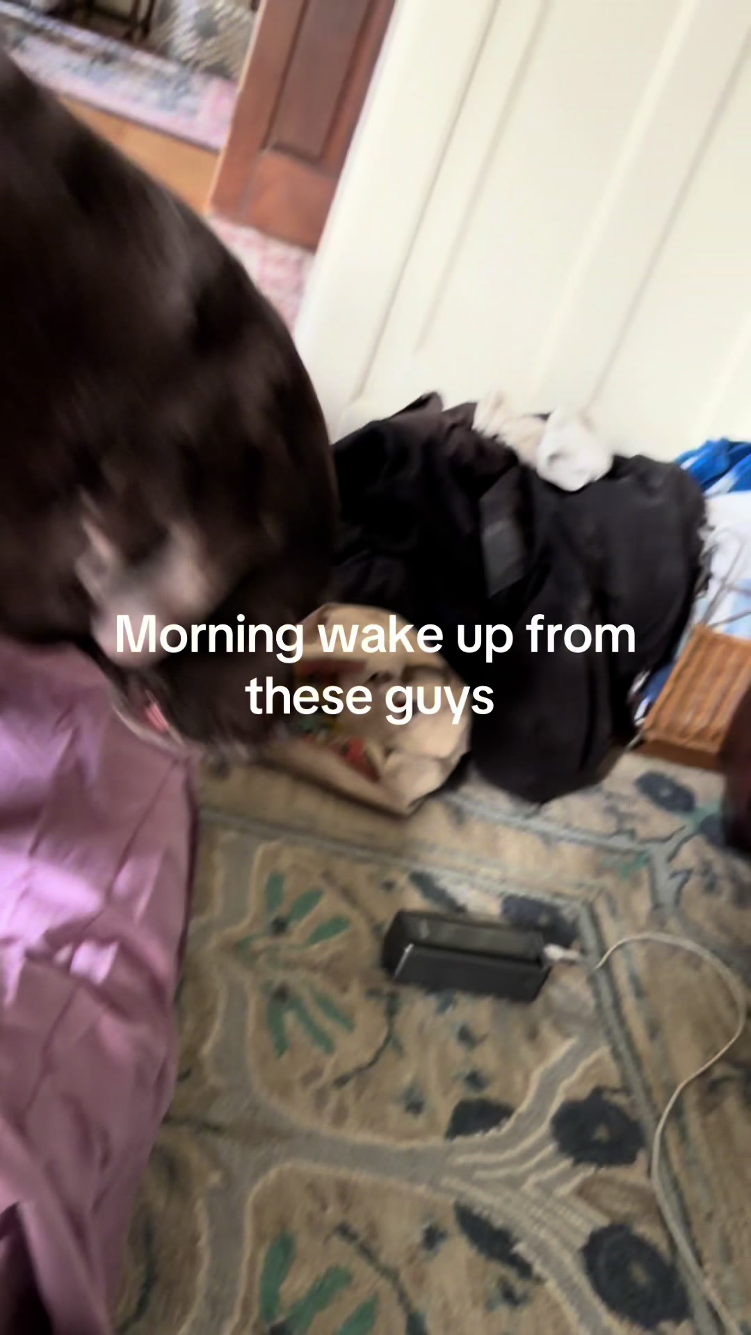 @Sara Devoe
