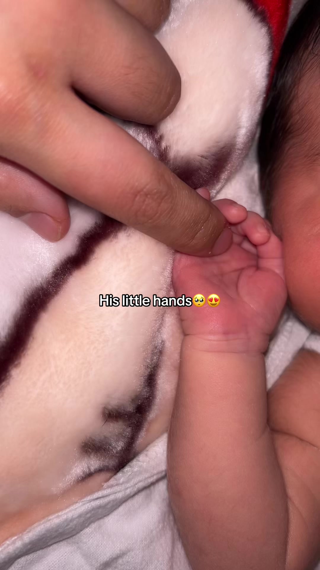 @monicajuanitaa
