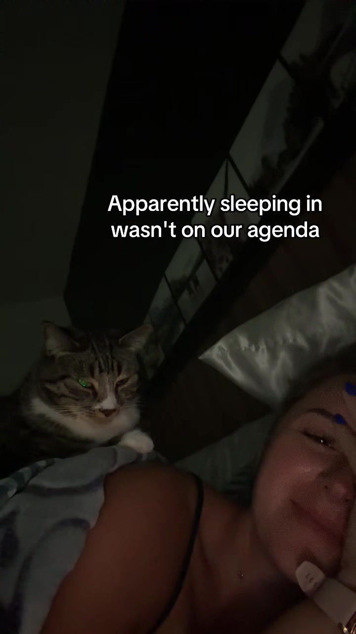 @Bmichaud