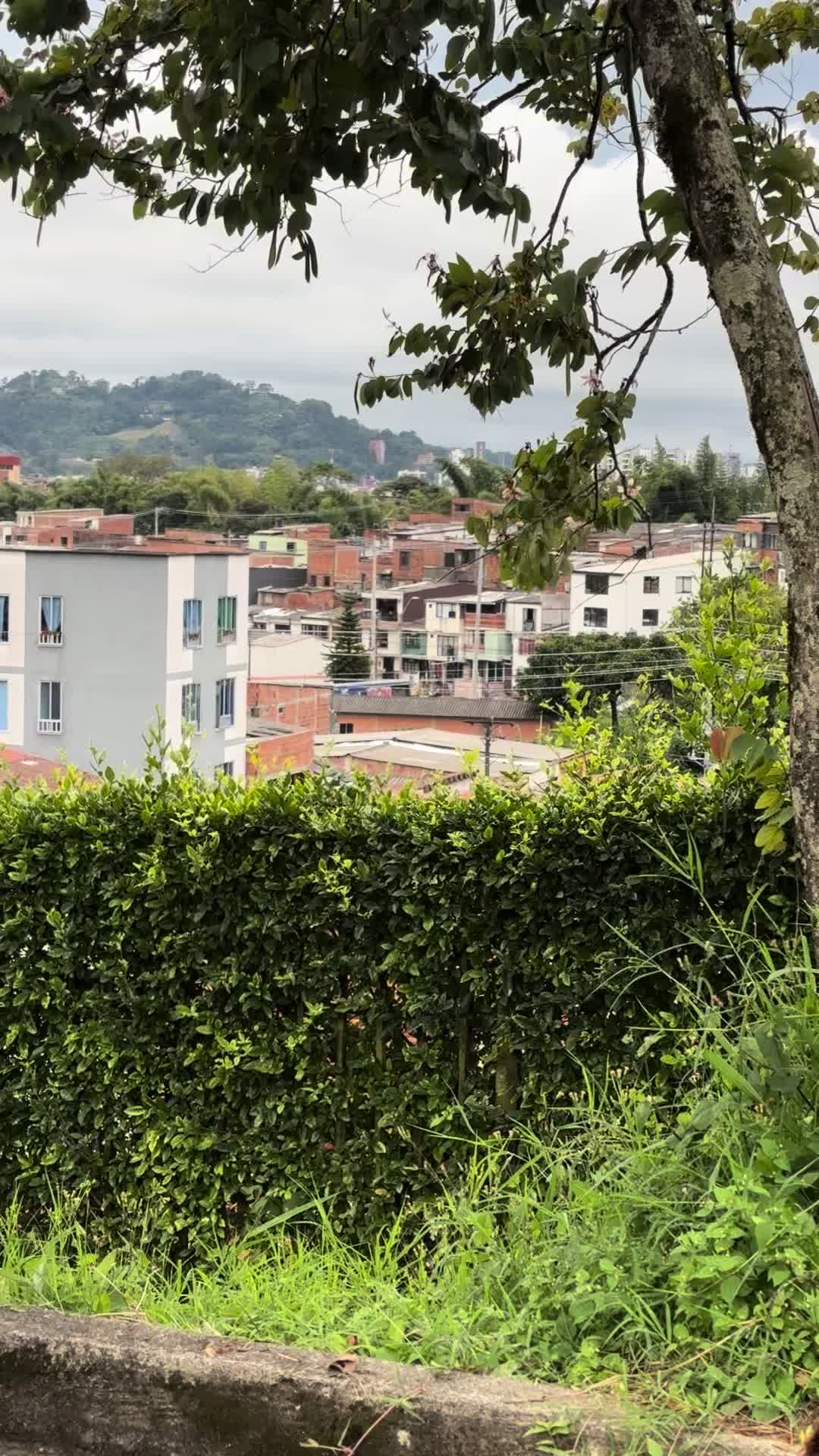 @️Estebanlopez_09