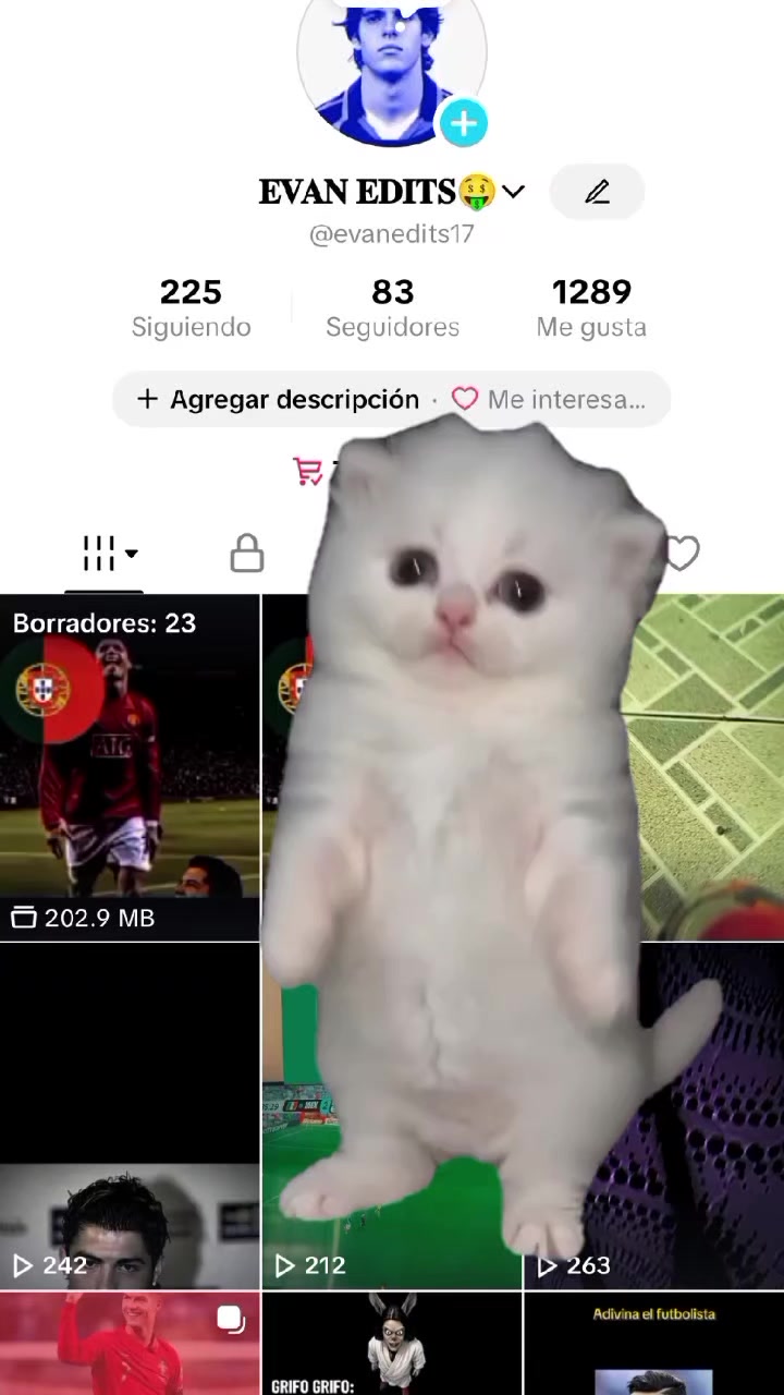 @⚡𝐄𝐕𝐀𝐍 𝐄𝐃𝐈𝐓𝐒😶🌫️
