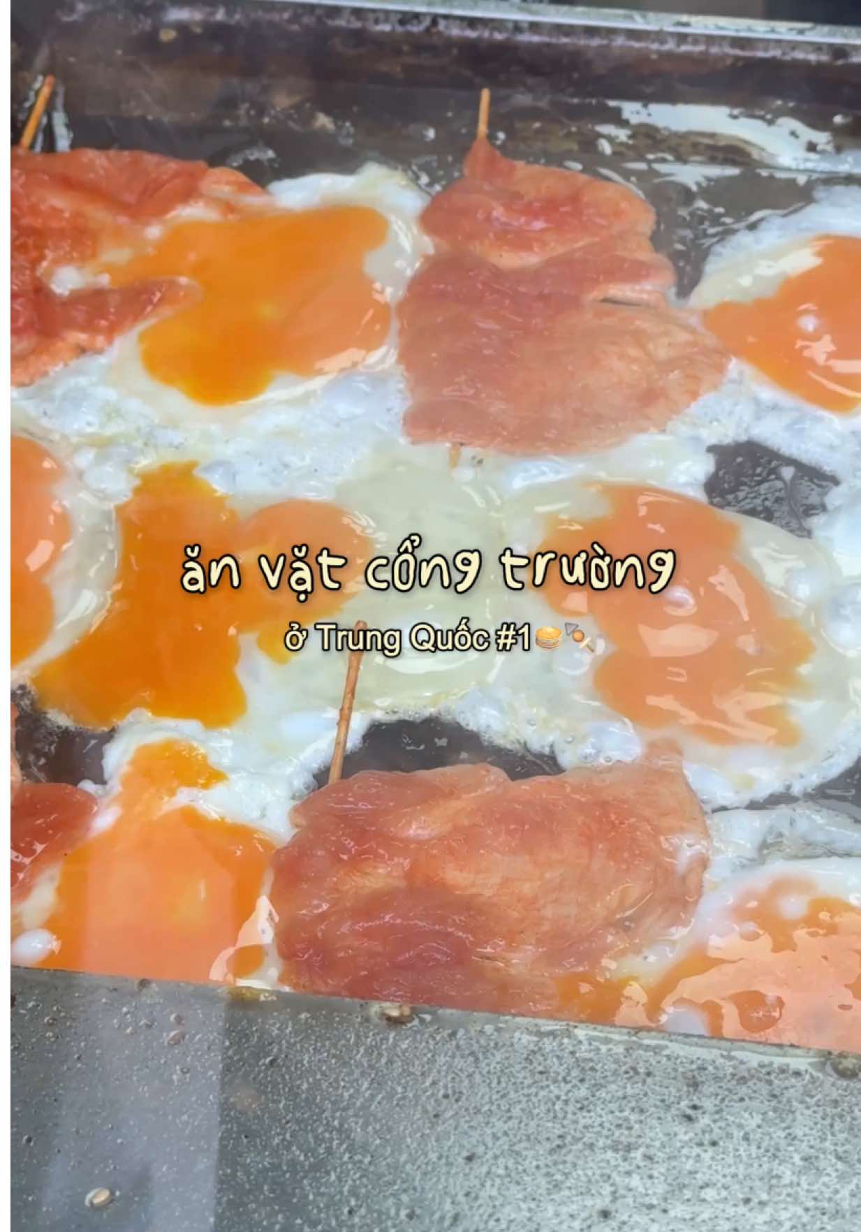 @sứa •ᴗ•