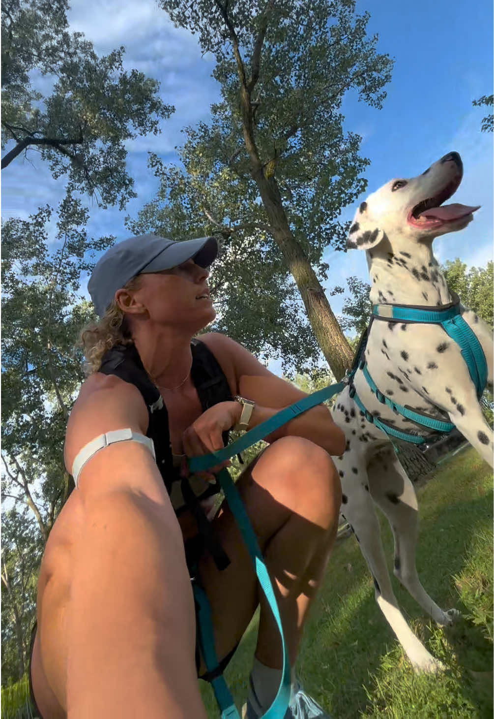 @Nevada the Dalmatian