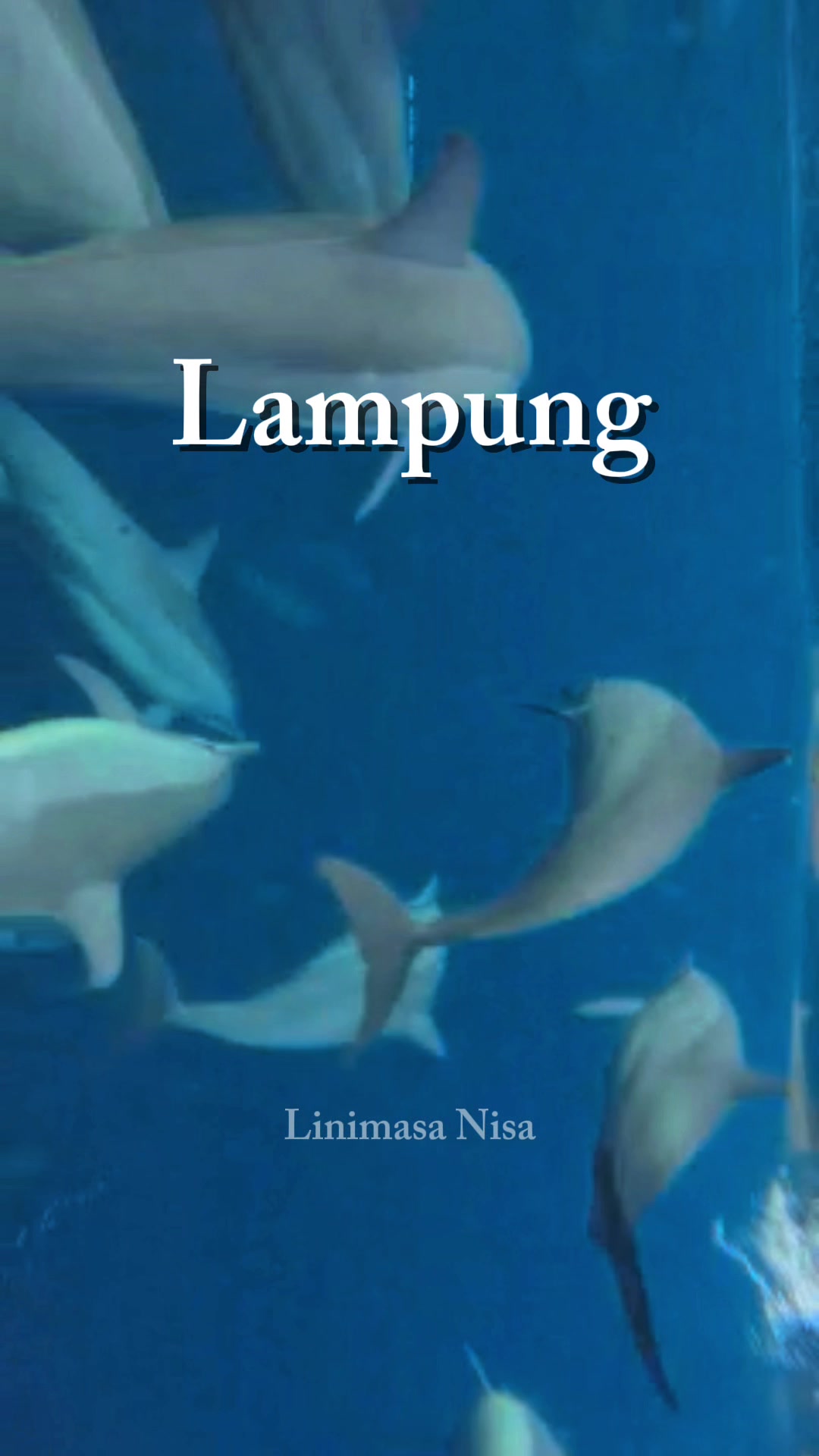 @Linimasa Nisa