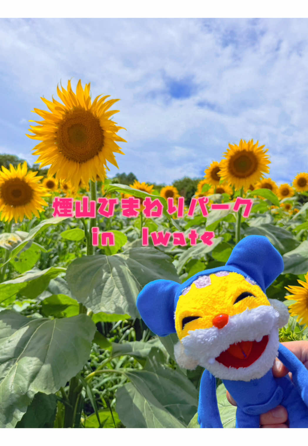 @micchon0809