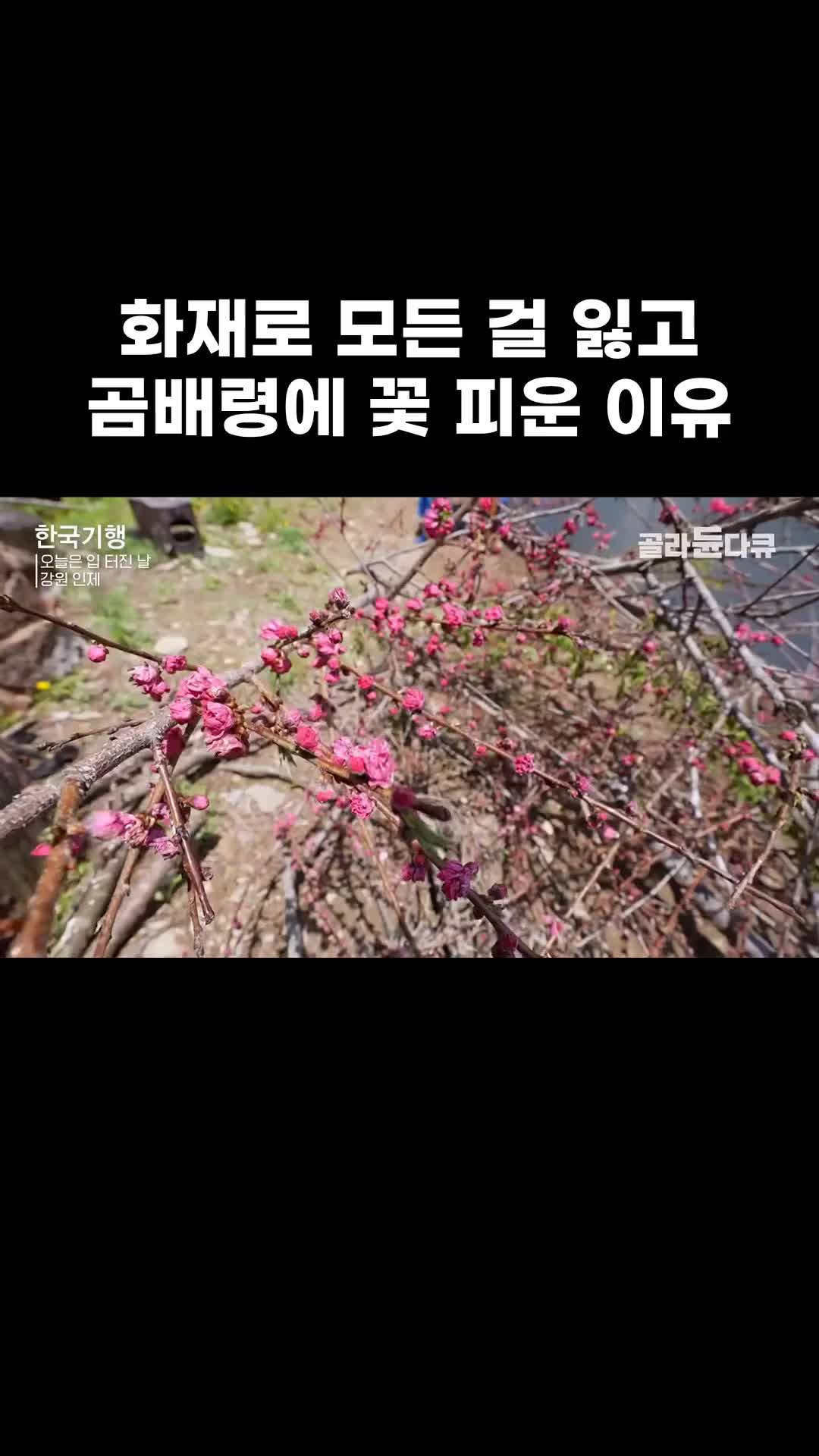 @EBS 다큐