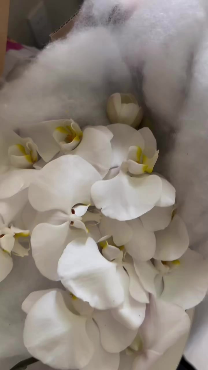 @LILIE & M | Modern Floral