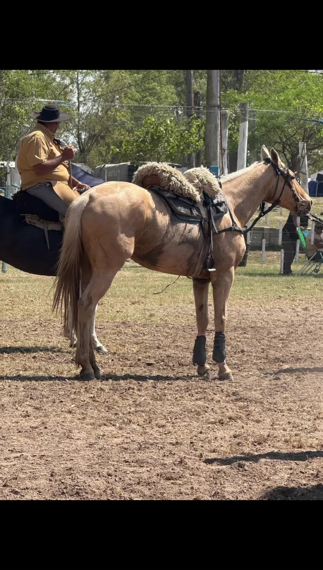 @luli.lazos7