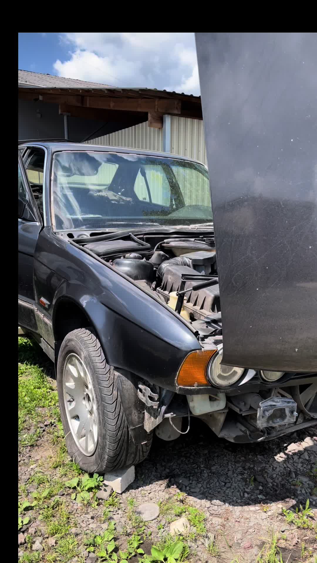 @pikmik_bmw