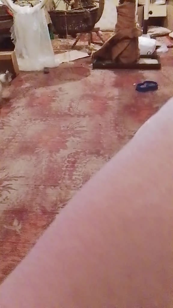 @Dgeki