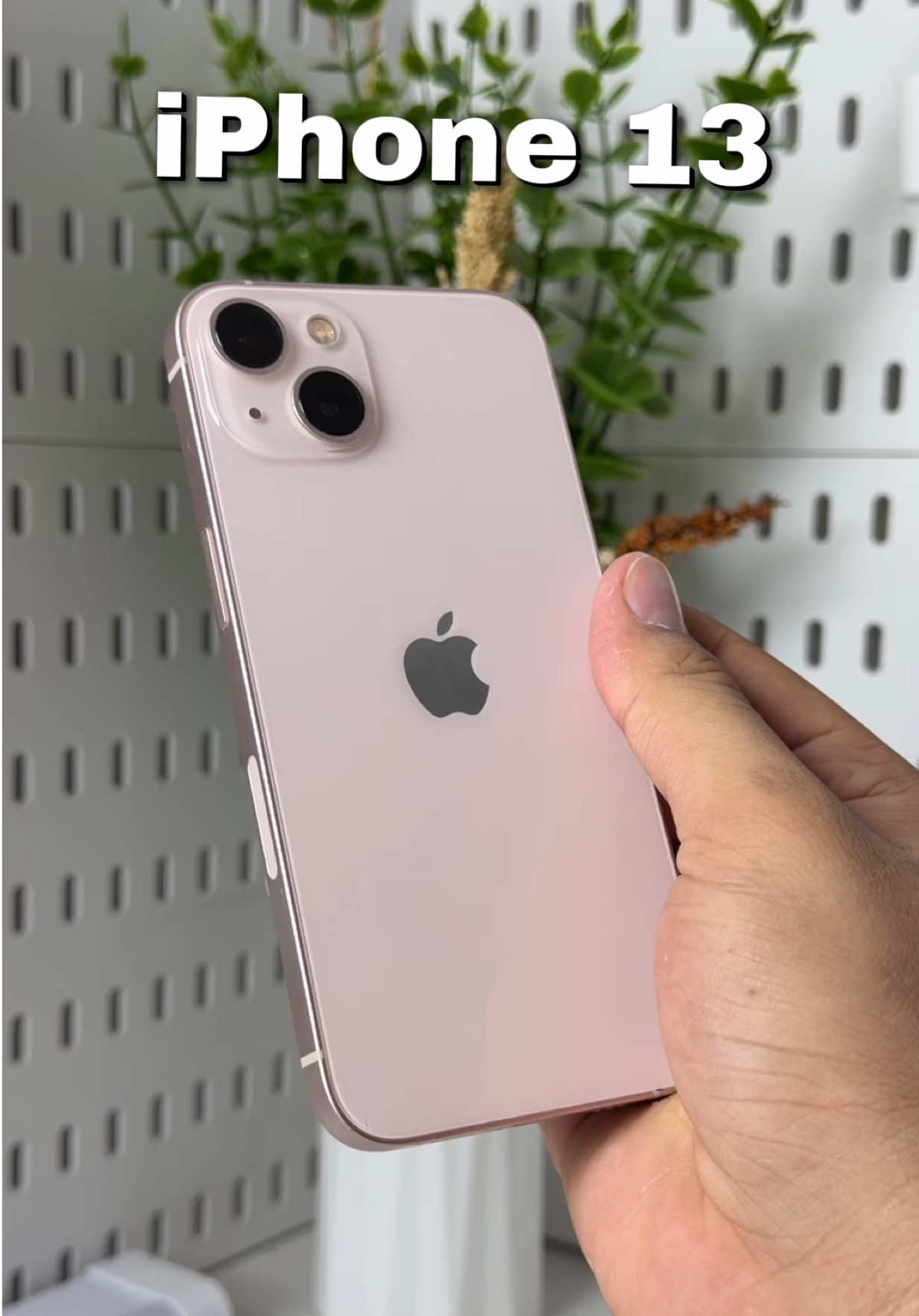 @iPhonary 🩷