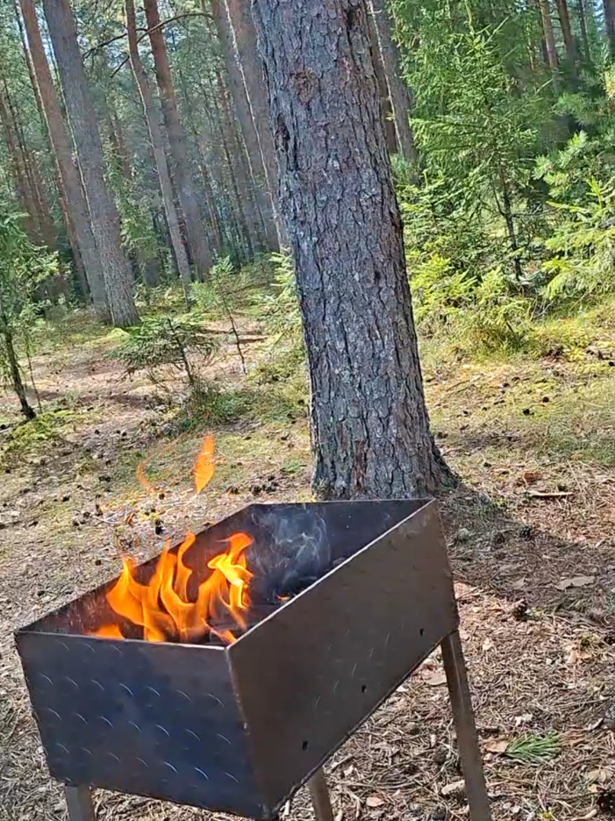 @Ольга