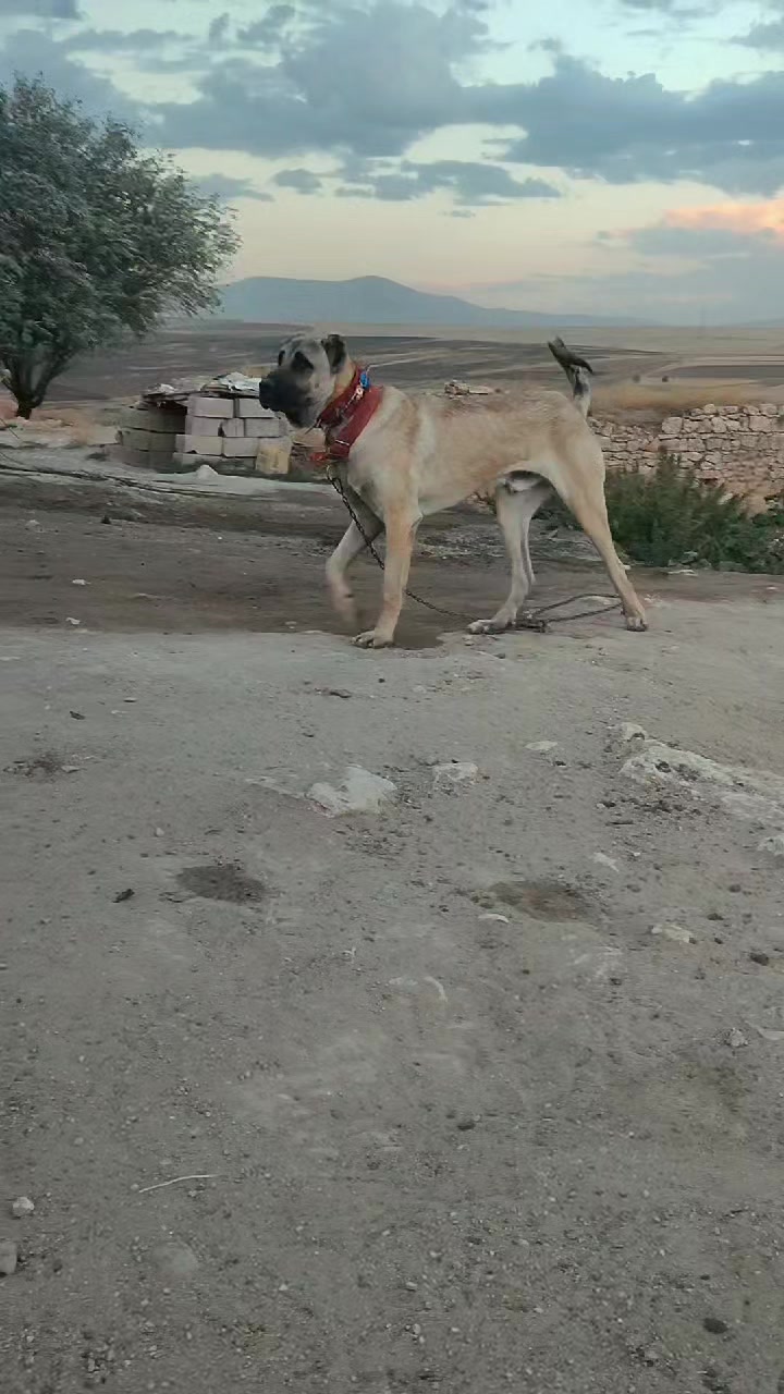 @🇹🇷 Murat Çıtak 🇹🇷