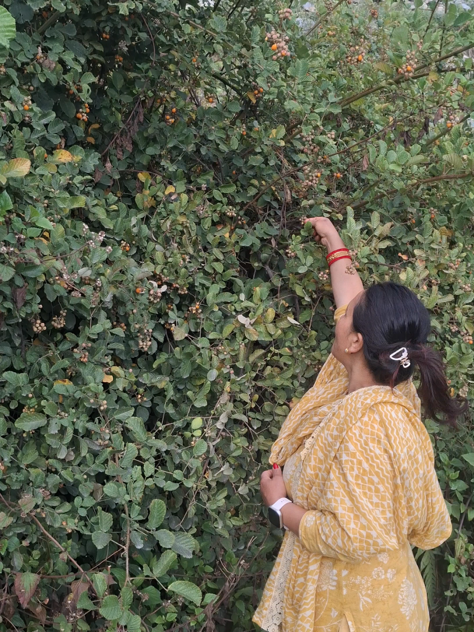 @sharmila khatri