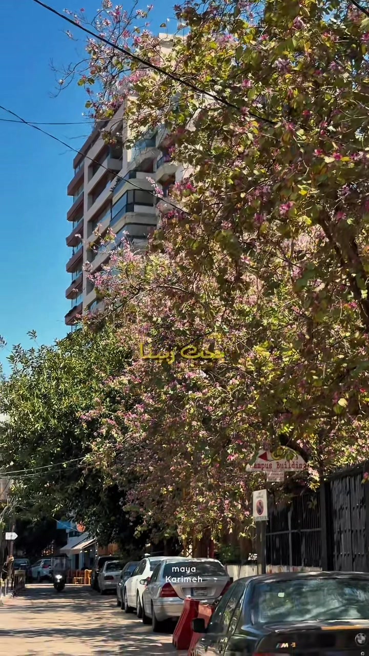 @MAYA O. Karimeh