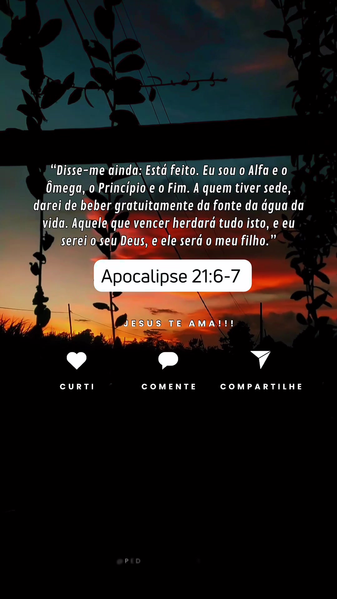 @Pedro_0fficia1🩴💫