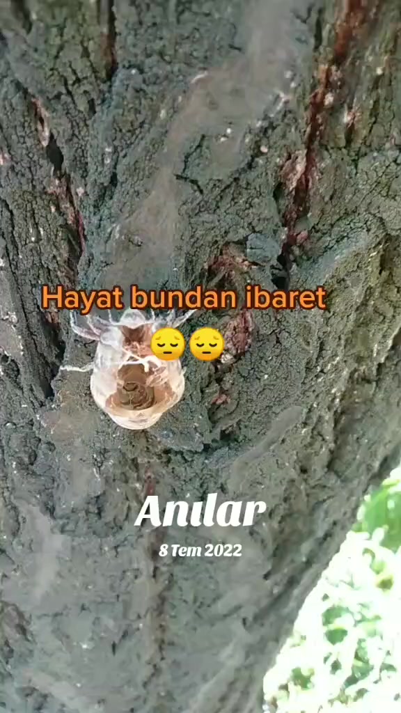@mustafa_poyraz02
