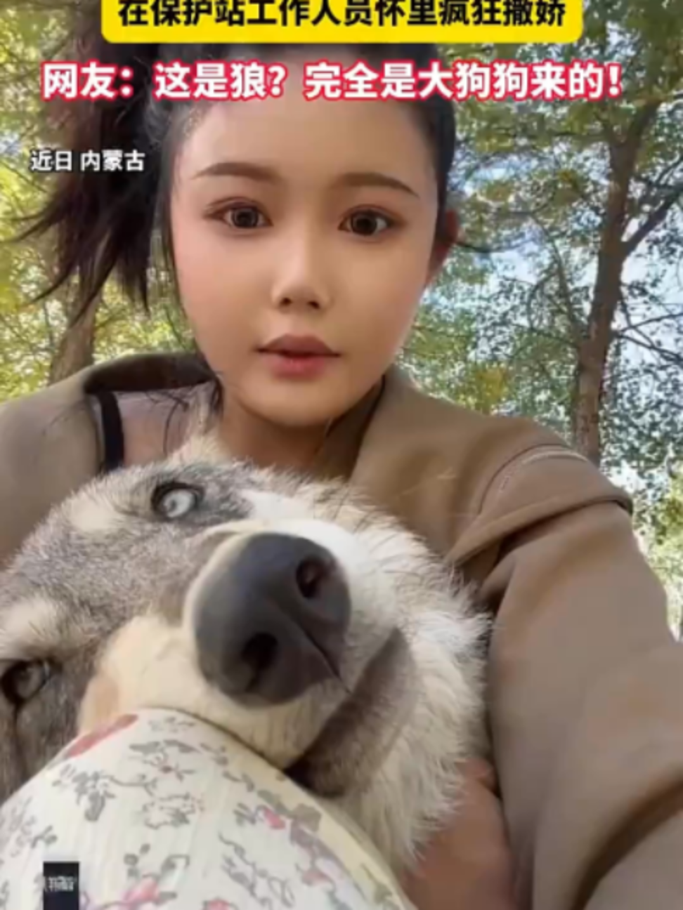 @中国蓝国际