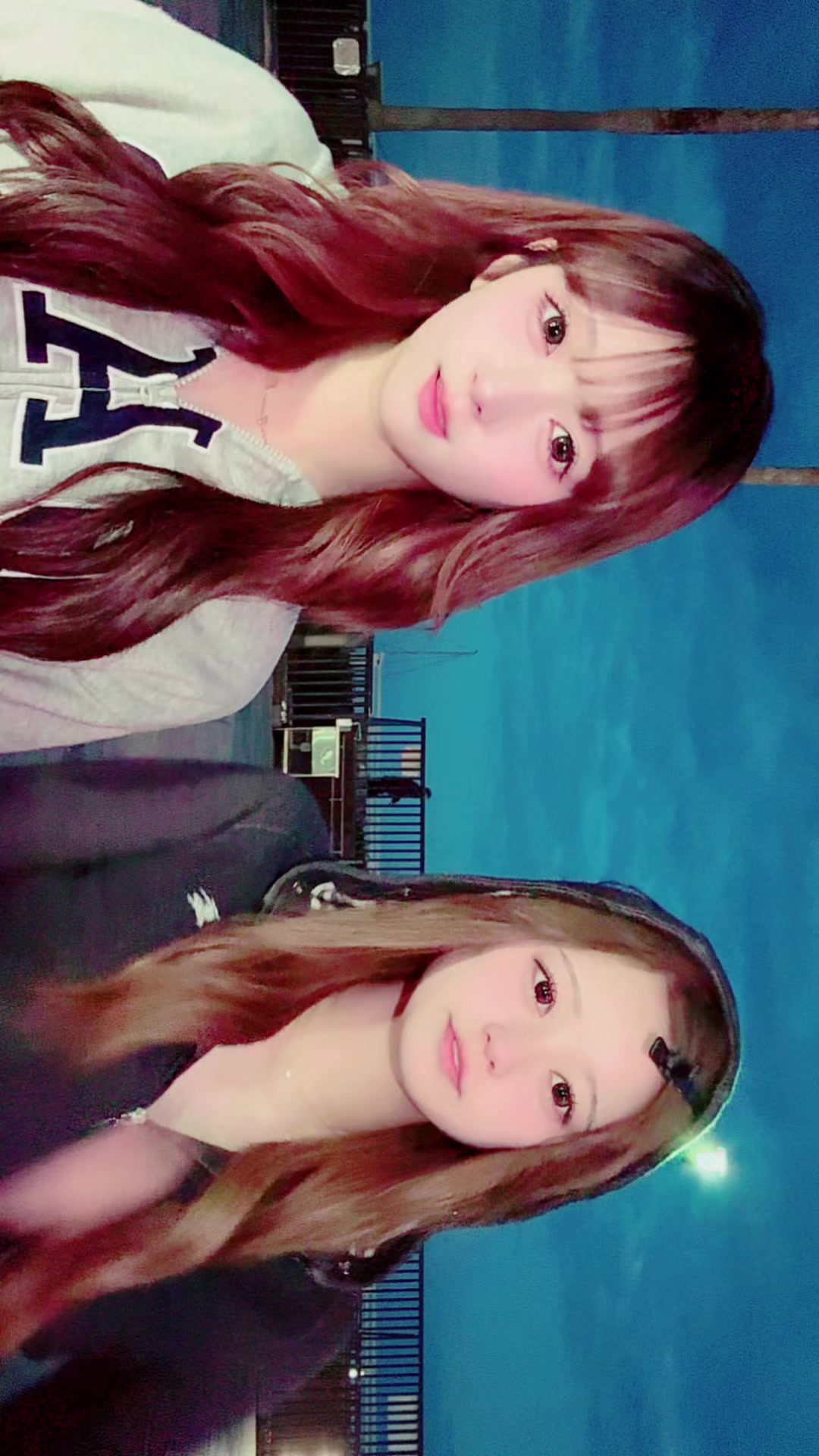 @ありにゃ