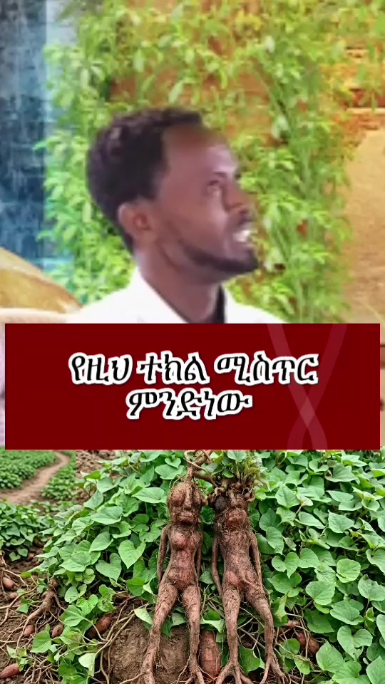 @Bin