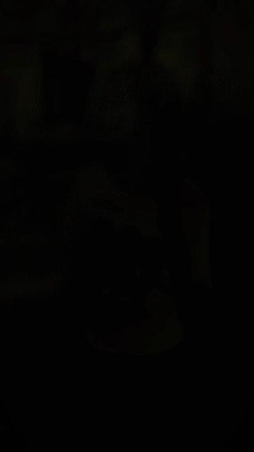 @🦋 Yυραɾ 🦋