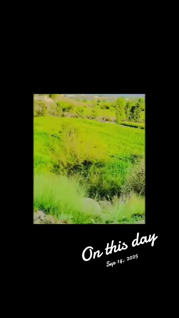 @Hakmat ullah 🫶