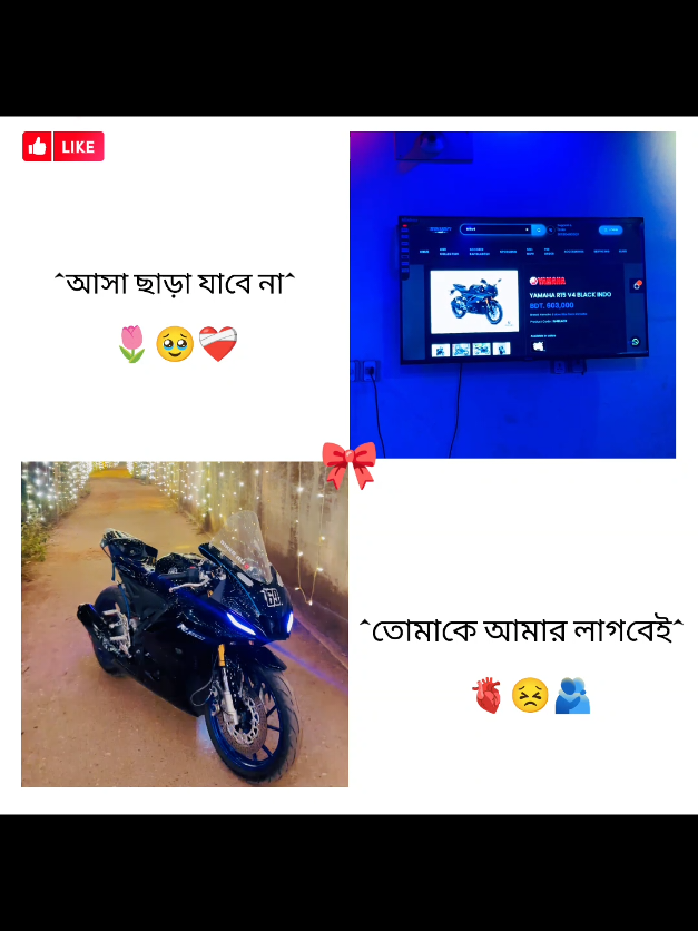 @✿BIKE LOVER✿