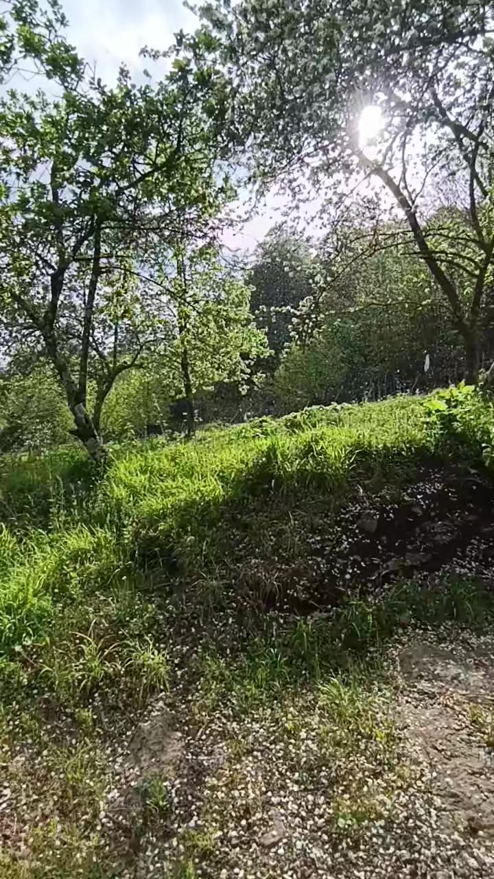 @𝓜𝓮𝓵𝓪𝓱𝓪𝓽 🕊️ 𝓔𝓻𝓴𝓪𝓷